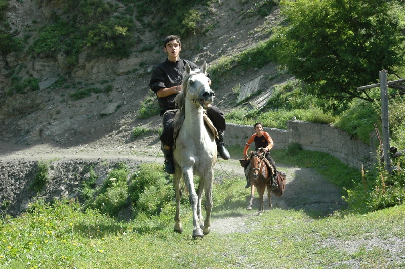 Vaizdas:Gruzija Tuseti arkliai.jpg